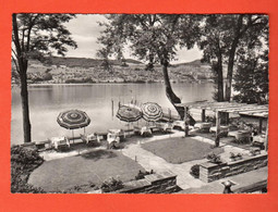 ZIC-04  Meisterschwanden Hotel Seerose Hallwilersee. Gelaufen 1967  Globetrotter 01037 Gross Format - Meisterschwanden