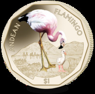 British Virgin Islands Coin 2019 - Andean Flamingo - Iles Vièrges Britanniques