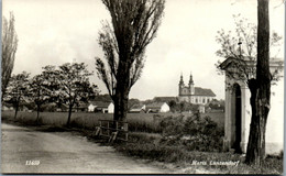 4705 - Niederösterreich - Maria Lanzendorf , Ansicht Straße - Gelaufen 1964 - Bruck An Der Leitha