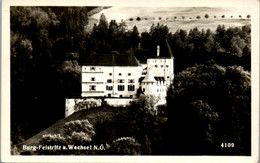 4706 - Niederösterreich - Feistritz Am Wechsel , Burg - Gelaufen - Wechsel