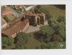 Grisolles : Le Château De Fontanas (cp Vierge N°3959 Cely) Aérienne - Grisolles