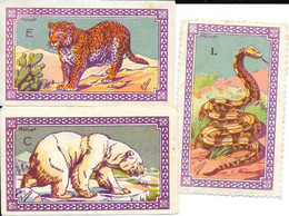 Image Gommée (Format Timbre) Lot De 3 Images D'animaux (Panthère, Ours, Boa) Illustration G. Soury - Other & Unclassified