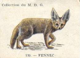 Chromo Produits Coop - Collection M.D.G. Les Animaux - Image Du Fennec (n° 130) - Autres & Non Classés