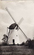 Mol Ezaart Molen (pk76799) - Mol