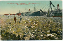 GALVESTON , TX -  Cotton In Open - Galveston