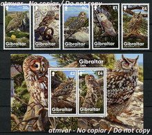 GIBRALTAR (2020). Gibraltar Owls, Eulen, Chouette, Buho, Rapaces Nocturnas, Birds Prey, Uilen, Strigiformes, Tyto Alba - Gibraltar