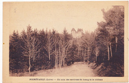 Un Coin Des Environs Du Bourg Et Le Château - Noiretable