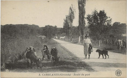 CAMBLANES -GIRONDE - ROUTE DU PORT - ANNEE 1915 - Sonstige & Ohne Zuordnung