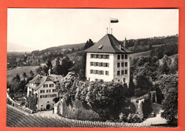 ZID-32  Gelfingen Schloss Heidegg. Perrochet LU 47 Nicht Gelaufen. Format 10x15 - Gelfingen