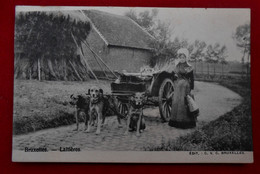 CPA 1903 Bruxelles - Laitières - Attelage De Chiens - Shopkeepers