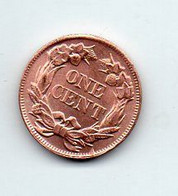 USA : 1 Cent 1857 - 1856-1858: Flying Eagle