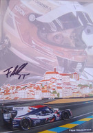 Filipe Albuquerque (Portugal Race Car Driver) - Authographs