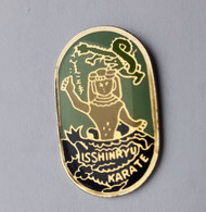 C64 Pin's  Judo Karaté Isshinryu Isshin Ryu Dragon Achat Immédiat - Judo