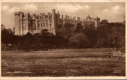 ANGLETERRE ARUNDEL CASTLE - Arundel