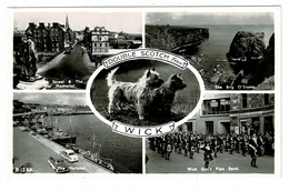 Ref 1453 - Real Photo Postcard - Wick Caithness - Scottish Terriers & Wick Girl's Pipe Band & Harbour - Caithness