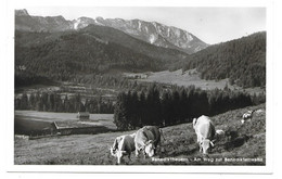 8173  BENEDIKTBEUERN, WEG ZUR BENEDIKTENWAND  ~ 1950 - Miesbach