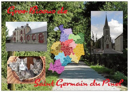 35 - SAINT GERMAIN DU PINEL - 5 Petits Chatons + Carte Géographique Du 35 - 3 Vues - Cpm - Vierge - - Otros Municipios
