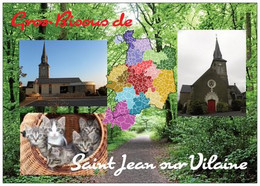 35 - SAINT JEAN SUR VILAINE - 5 Petits Chatons + Carte Géographique Du 35 - 3 Vues - Cpm - Vierge - - Otros Municipios