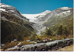 Disentis - Alpengarten - Disentis/Mustér