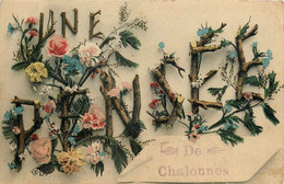 Chalonnes Sur Loire * Une Pensée De La Commune * Souvenir - Chalonnes Sur Loire