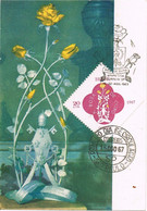 39119. Tarjeta Maxima SAO PAULO (Brasil) 1967. ROSA De OURO, Flowers, Rosa - Maximumkaarten