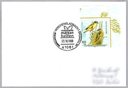 Für Die Wohlfahrtspflege - CARRICERIN CEJUDO - AEROCEPHALUS PALUDICOLA - AQUATIC WARBLER. Munchengladbach 1998 - Mechanical Postmarks (Advertisement)