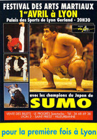 Festival Des Arts Martiaux De Lyon Et Champions Japonnais De Sumo - Artes Marciales