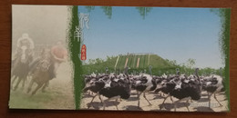 Ostrich Farm,horse Racing,China 2010 National 3A Level Scenic Spot Jinlu Ostrich Amusement Park Pre-stamped Card - Struzzi