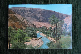 MAROC - Vallée Du Drâ - Other & Unclassified