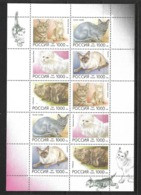 RUSSIE 1996 FEUILLET CHATS   Yvert N°6170/74  NEUF MNH** - Hojas Completas