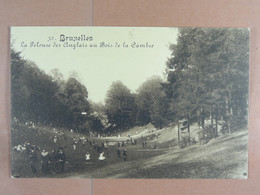 Bruxelles La Pelouse Des Anglais Au Bois De La Cambre - Forêts, Parcs, Jardins