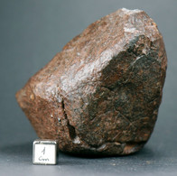 Meteorite NWA (North West Africa) - 314 Gr - Meteorieten