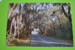 Cartes Postales De L'amerique ( Les USA) - Myrtle Beach