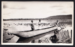 VIEILLE PHOTO PRIS PAR COLONISTES BELGE A MWADINGUSHA ( KAMBOVE - HAUT KATANGA ) - Jeunes Pêcheurs Entre Les Nénuphars - Afrique