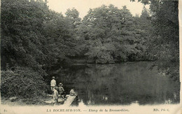 La Roche Sur Yon * étang De La Brossardière - La Roche Sur Yon