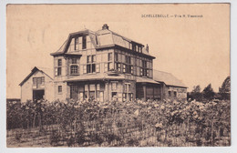 SCHELLEBELLE  VILLA H. VLAEMINCK - Wichelen