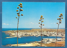 FAVIGNANA NON VG. TRAPANI N°B016 - Trapani