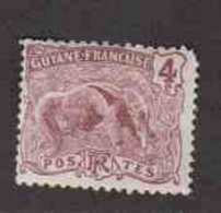 GUYANE FRANCAISE (Y&T) 1904-07 - N°51  * Fourmilier *  4c. Neuf () - Andere & Zonder Classificatie