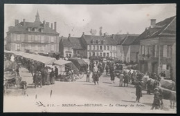 58 - BRINON-SUR-BEUVRON - LE CHAMP DE FOIRE - Brinon Sur Beuvron