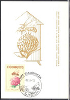 Poland 1987 Bees - Mi.3110  Maximum Card - Cartes Maximum