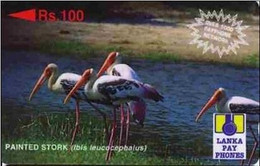 SRILANKA : 32E 100 Painted Stork (white Print) USED - Sri Lanka (Ceylon)