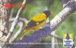 SRILANKA : 21C 100 The Ceylon Black-Headed Oriole USED - Sri Lanka (Ceilán)