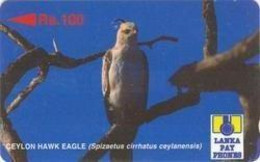 SRILANKA : 18A 100 Ceylon Hawk Eagle USED - Sri Lanka (Ceylon)