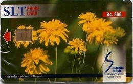 SLT : TC05 Rs800 Flowers Marigold MINT - Sri Lanka (Ceylon)