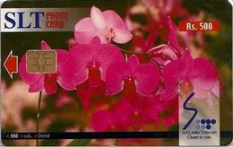 SLT : TC04 Rs500 Flowers Orchid MINT - Sri Lanka (Ceilán)