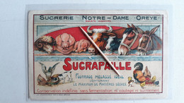 OREYE - Sucrerie Notre-Dame -  SUCRAPAILLE - Rare - Oreye