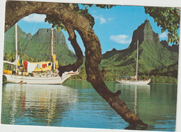 Polynésie  Française : Moorea , Baie  D ' Opunohu , Bateau - Polynésie Française