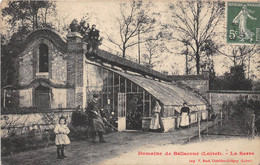 45-PITHIVIERS- DOMAINE DE BELLECOUR- LA SERRE - Pithiviers