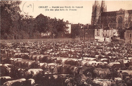 49-CHOLET- MARCHE AUX BOEUFS DU SAMEDI UN DES PLUS FORTS DE FRANCE - Cholet