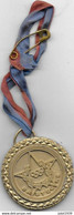 BASTOGNE ..-- Médaille Inconnue . 56 Gr .  40 MM . - Bastogne